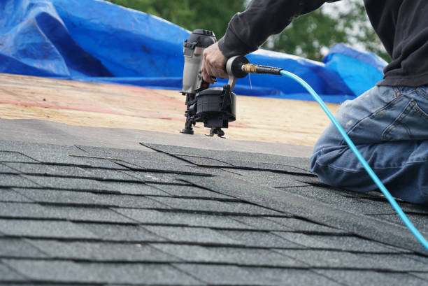 Best Roof Gutter Cleaning  in Gallipolis, OH